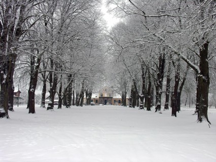 Winter lime tree avenue (Tilia) with an Art Nouveau villa built around 1900, Rögnitz,