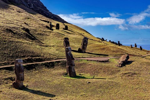 Moai statues spread across an overgrown hill under a blue sky with light clouds, The Moai statues