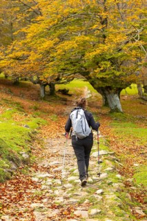 A woman hikes through the picturesque autumn landscape of Gorbea Natural Park in the Basque