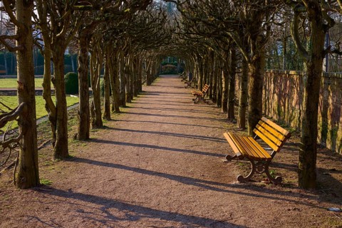 A long park path with benches and trees in sunshine, Lustgarten Erbach, Erbach, Odenwald, South