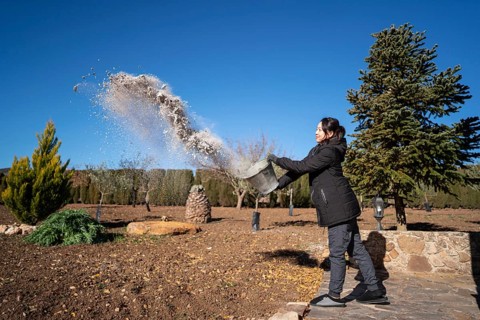 Side view of an Asian woman in a winter jacket is captured tossing a bucket of snow in a