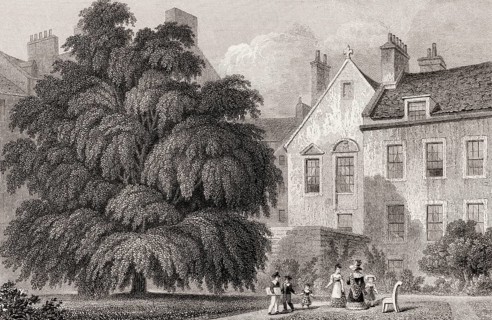 The Levee Room in Regent Murray's House, Edinburgh, Scotland, 19th century, from Modern Athens by