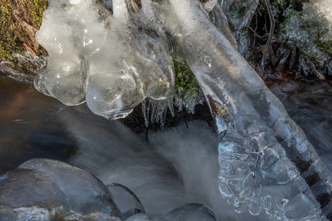 Branches are covered with ice near the river. The water flows gently and forms ice formations on