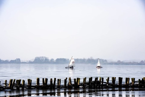 Ice sailor on frozen Dümmer Lake, Lembruch, Lower Saxony, Germany