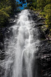 Protesters falls, waterfall, water, fresh, nature, environment, Nightcap National Park, Queensland,