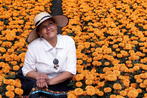 A woman in Xochimilco, Mexico, sits amidst vibrant cempasuchil flowers, traditionally used in Day