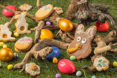 Colourful Easter eggs and cookies around natural wood structures in a meadow