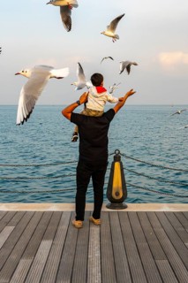 Mina District across from the cruise terminal, locals and tourists feed the seagulls, Doha, United