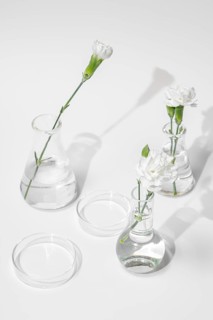 Elegant floral composition in scientific glassware, symbolizing the intersection of nature and