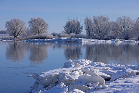 Ice floes, trees, wintery Elbe near Bleckede, Lower Saxony, Germany