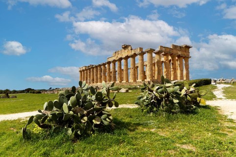 In front common prickly pear (Opuntia ficus-indica), behind ruins, ancient Greek temple E, also