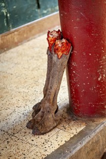 Two bloody animal legs lean against a red pillar on a tiled floor, offered by a butcher's shop in