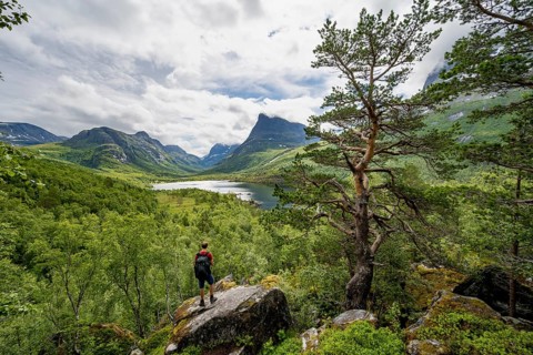 Young man standing on rocks, Innerdalen high valley with lake Innerdalsvatna, mountains, right