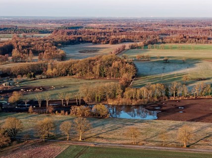 Landscape in the Drömling UNESCO Biosphere Reserve in the Altmark early in the morning on a cold