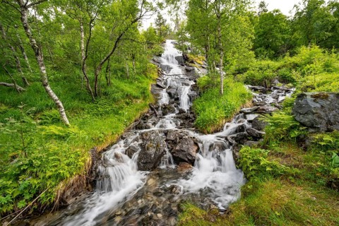Waterfall in forest between birch trees, long exposure, Innerdalen, Hochtal, Sunndal, Møre og