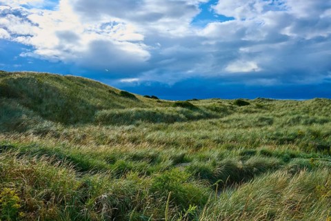Gentle dune landscape with tall grass under a cloudy sky, Seahouses, Northumberland, England, Great