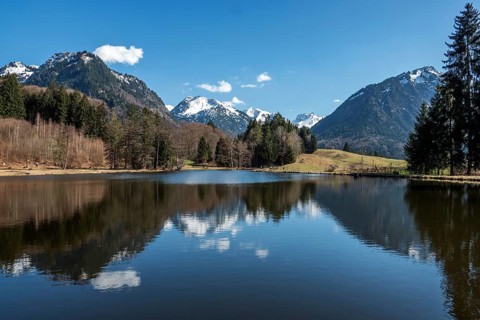 Moor, moor pond, water reflection, mountains of the Allgäu Alps behind, Oberstdorf, Oberallgäu,