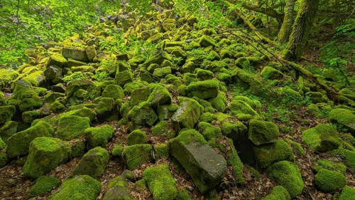 Basalt boulders, beside the basalt prisms, Gangolfsberg, Rhön Biosphere Reserve, Bavaria, Germany