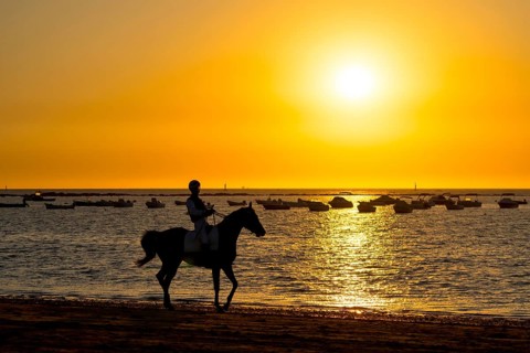 Silhouette of jockey riding horse along beach at sunset with boats in background in sanlucar de