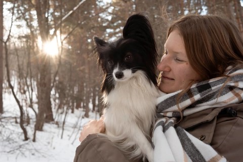 A purebred Papillon dog lovingly held by its owner during a serene winter day in a snowy forest.