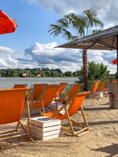 View over orange chairs in the sand from a beach bar to the river Rhine in the background, palm