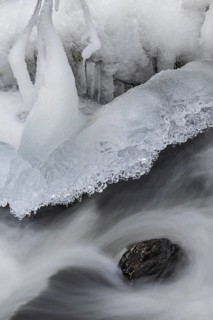 Ice formations on a flowing stream, Alvdal, Hedamrk, Innlandet, Norway, November 2025