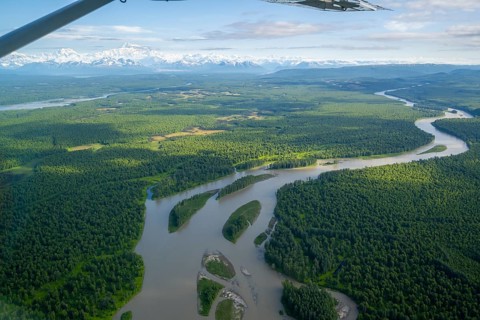 Aerial view, Talkeetna River, forest and view of the Alaska Range with Mt. Denali, view over Denali
