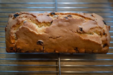 English tea cake fresh from the oven, Franconia, Bavaria, Germany