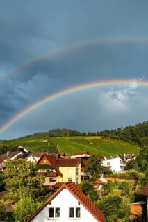 A rainbow is seen above a town with houses and trees. The sky is cloudy and the weather is overcast
