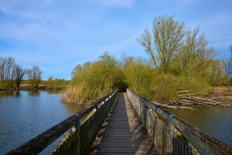 A wooden bridge crosses a quiet lake in a natural landscape, spring, Vogelinsel, Altmühlsee, Muhr