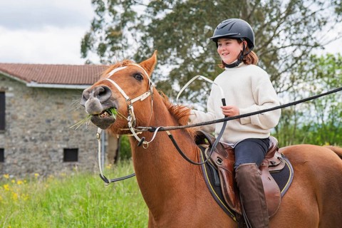 A young girl joyfully rides a horse on a sunny farm day, surrounded by nature. She wears a riding