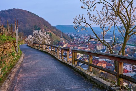 A path along a hill with a view of blooming almond trees and the city, Klingenberg am Main,