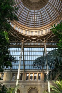 Palm garden, dome, Ny Carlsberg Glyptotek or New Carlsberg Glyptothek, art museum for sculpture and