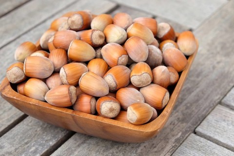 Hazelnut (Corylus 'Gunslebener Zellernuss'),  Germany