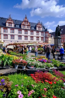 Green market on the market square, with town hall, Old Town, Coburg, Upper Franconia, Franconia,