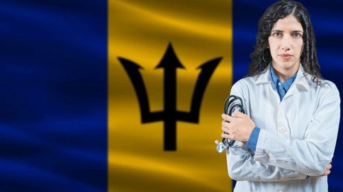 Barbadian national health system, Medical professional on Barbados flag background