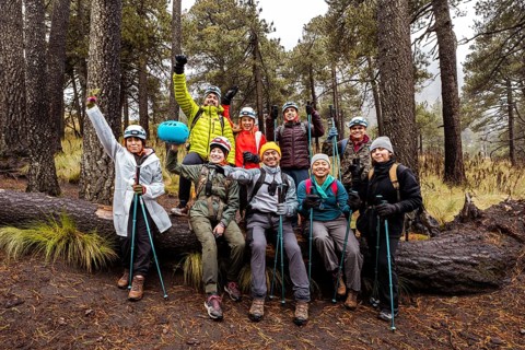 A group of enthusiastic hikers enjoy a rainy day on a scenic forest trail, surrounded by tall trees