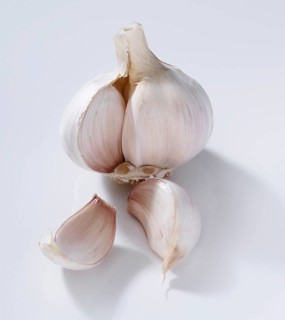 Garlic (Allium sativum), on a white background, studio shot