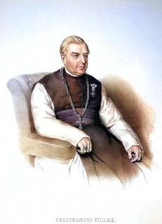 Ferdinand Villax (born 14 May 1784 in Pápa, died 13 September 1857 in Zirc) was a Hungarian