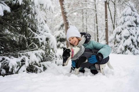 A young girl in warm winter clothing plays joyfully with her dog in a snow-covered forest,