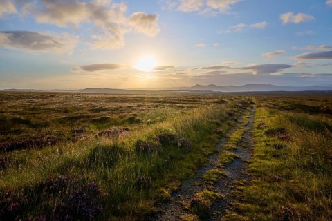 A trail runs through grassy land at dusk with distant mountains, Moine House, Moine Track, Lairg,