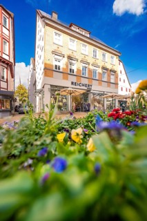 Urban scene with blooming flowers in the foreground and historic building under bright blue sky,