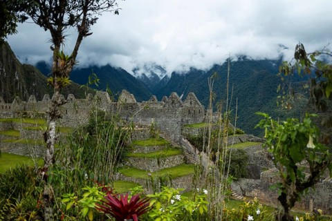 Stunning scene of the ancient Inca site of Machu Picchu, Peru, framed by lush greenery and ethereal