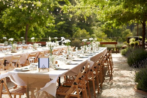 Elegant outdoor wedding setting featuring long tables adorned with white floral arrangements,