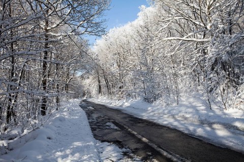 A Forest path near the road L707 in winter, Märzenbecher path, between Reblin and Valbert,