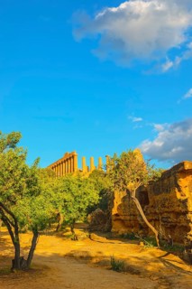 Temple of Juno, Valley of Temples, Agrigento, Sicily, Italy