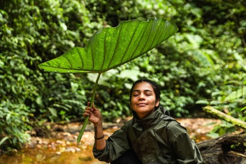 Young Ecuadorian delighted woman with eyes closed holding a large green leaf over her head, using