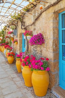 Traditional handmade glazed clay pots filled with flowers, Marzamemi, Noto Valley, Sicily, Italy
