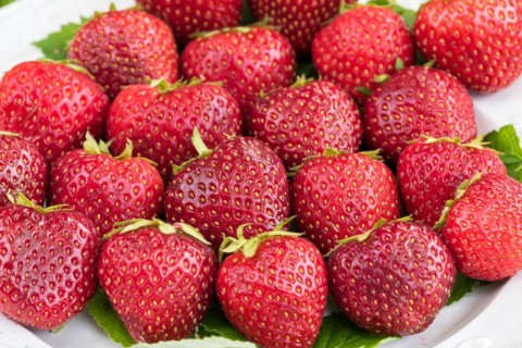 Red-fleshed strawberry, Germany