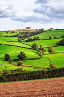 Colours of Devon Farms and Fields over Paignton and Berry Pomeroy, Totnes, England, United Kingdom